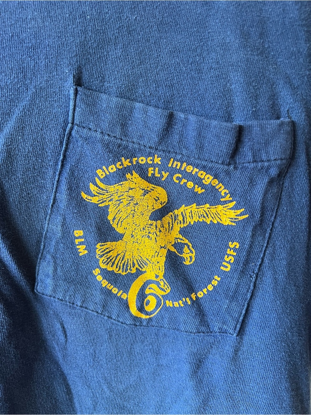 Vintage men’s Hanes Beefy-T single stitch t-shirt Blackrock Interagency USFS